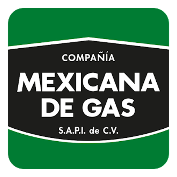 Estas son las marcas asociadas con Movivendor.